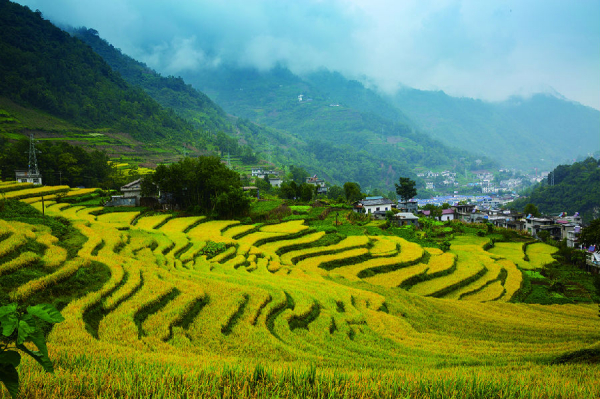 山村信号覆盖解决方案