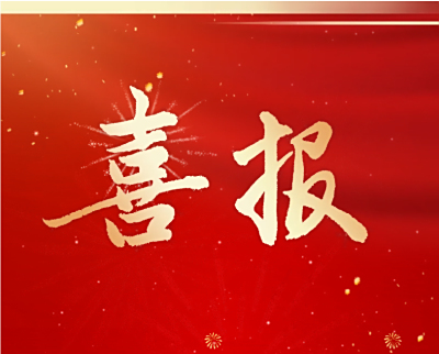 喜讯丨热烈祝贺！江苏大信董事长荣获殊荣
