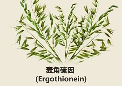 合成生物学重塑麦角硫因产业
