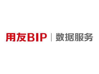 用友BIP | 數(shù)據(jù)服務(wù)
