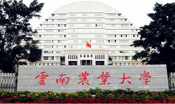 云南农业大学-校企合作背景下虚拟仿真秘书实训平台建设项目