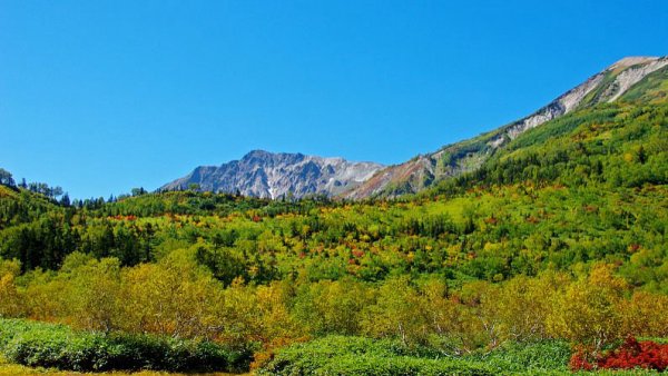 阿勒泰机场特价机票查询与机场航空售票处电话