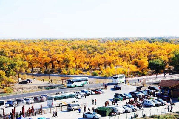 额济纳旗机场特价机票查询与机场航空售票处电话