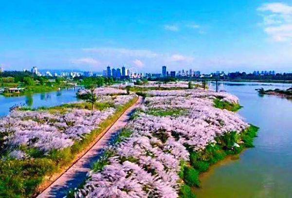 汉中城固机场特价机票查询与机场航空售票处电话