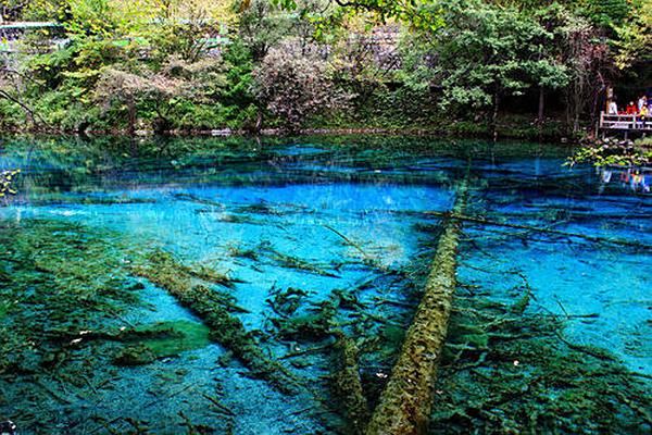九寨黄龙机场特价机票查询与机场航空售票处电话