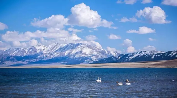 那拉提机场特价机票查询与机场航空售票处电话