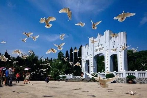 芷江机场特价机票查询与机场航空售票处电话