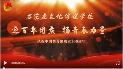迎百年团庆 扬青春力量