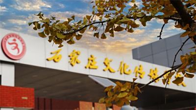 立冬∣秋意尚存，冬韵如约