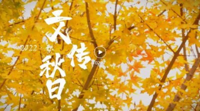 文传秋日