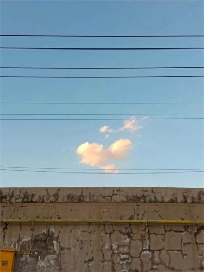 文传学子的一天（二）