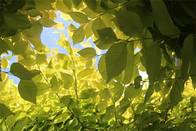 现代服务专业部学生作品——摄影