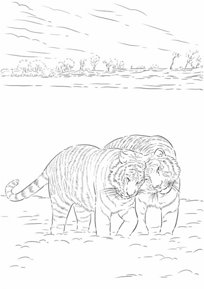 张东义老师作品集