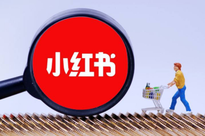 如何通过小红书种草推广实现快速涨粉与变现