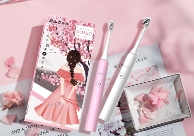 seago哇哦短视频、内容营销总结报告