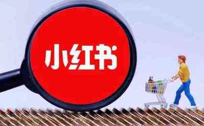 2022年小红书笔记信息流投放最新指南