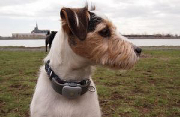 宠物跟踪器IP65测试