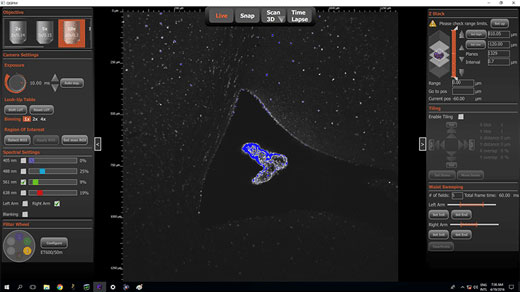 3D成像的QTSPIM用户界面。