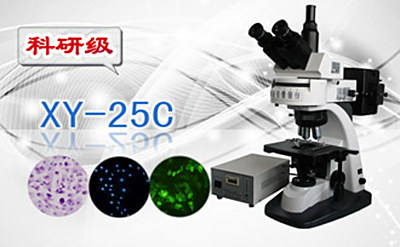 PUZHE      蒲柘     XS-25C    三目荧光显微镜