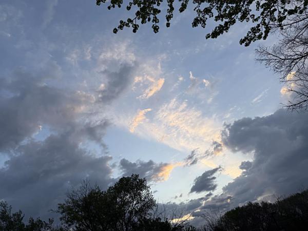 守中正念投资法-老炮的五大原则