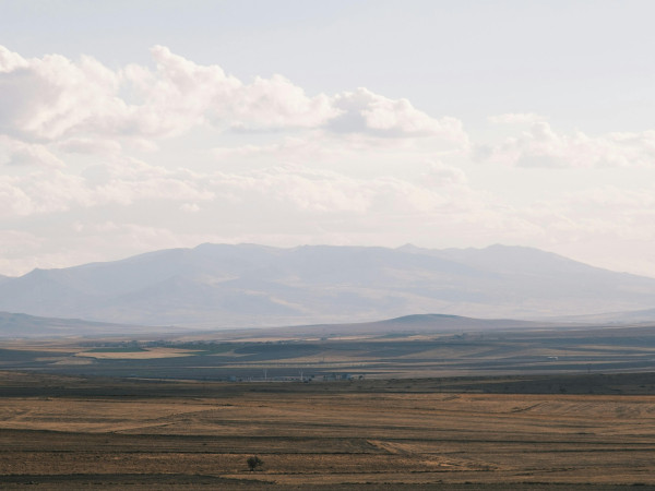 商务部：中国政府经审慎评估后，决定对稀土相关技术实施出口管制