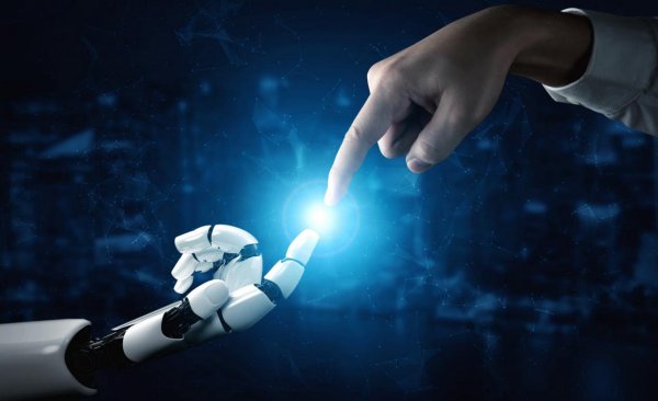 播播猫无缝供应网络 引领行业创新