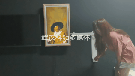 机械画框传感器