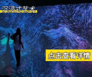 沉浸式艺术