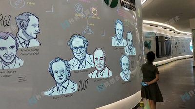 人物展示类型