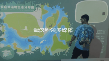 样式6