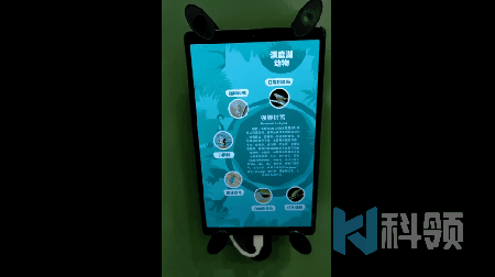 样式7