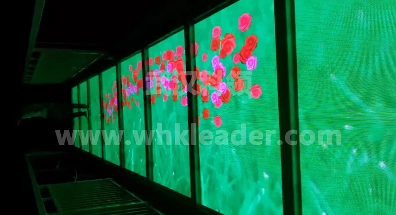 玻璃栈道-步步生花