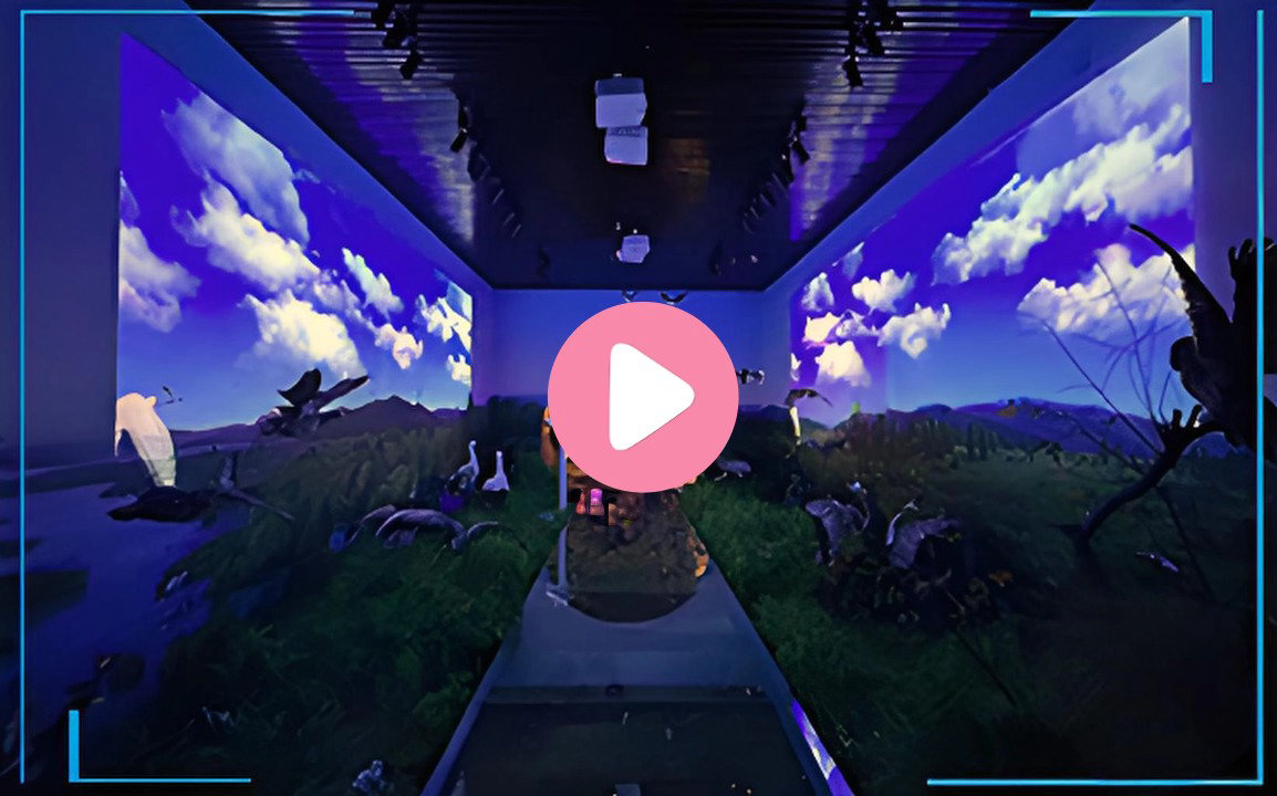 湿地生态沉浸式