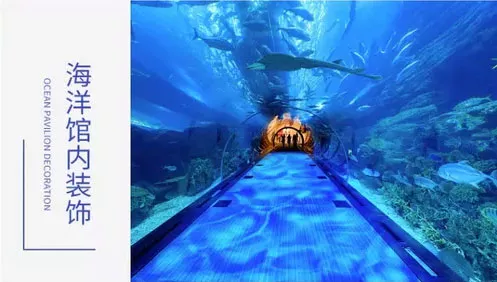 互动投影场景-海洋馆