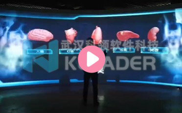 体感吸毒后器官变化