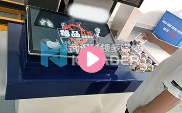 毒品感应模型互动