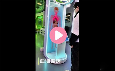 智能吸毒血液循环系统