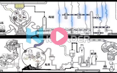 禁毒教育墙面互动