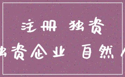 个人独资公司注册流程