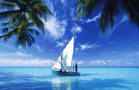 关于个体工商户能注册商标吗的信息