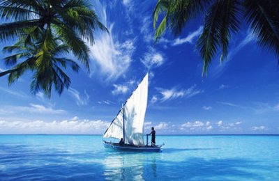 关于个体工商户能注册商标吗的信息