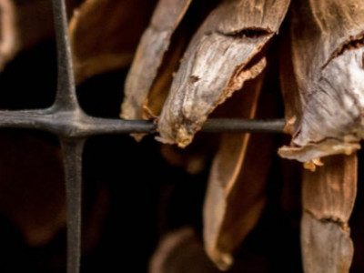 在南宁开公司要准备什么？