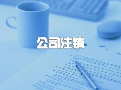 在南宁，集团公司注销的要求是什么？