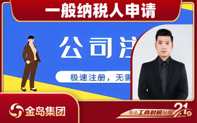 南宁新办企业直接申请一般纳税人一站式代办服务