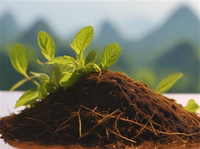 中草药营业执照代办 - 南宁一站式公司注册服务