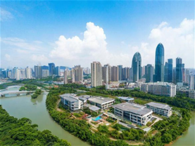 南宁网店办理营业执照服务 | 快速高效的一站式代办