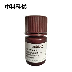 中科科优 磁性纳米棒 四氧化三铁磁性纳米棒 分散性好 高比表面积