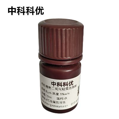 中科科优 橙色二氧化硅荧光微球 二氧化硅荧光纳米颗粒 多尺寸可选