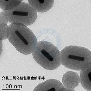 中科科优 介孔二氧化硅包裹金纳米棒 多尺寸吸收峰可定制