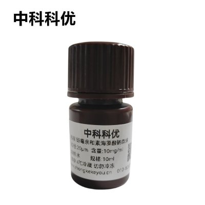 中科科优 链霉亲和素修饰海藻酸钠微球 SA修饰高分子微球 多尺寸支持定制